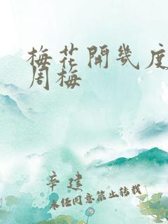 梅花开几度老张周梅