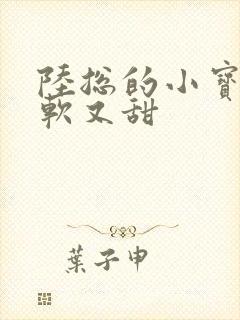 陆总的小宝贝又软又甜