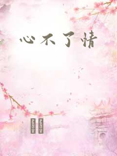 心不了情