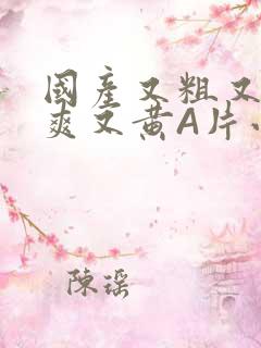 国产又粗又猛又爽又黄A片小说