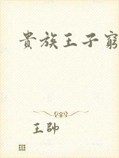 贵族王子穷公主