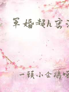 军婚超h密液