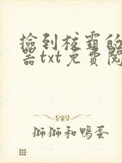 捡到校霸的遥控器txt免费阅读