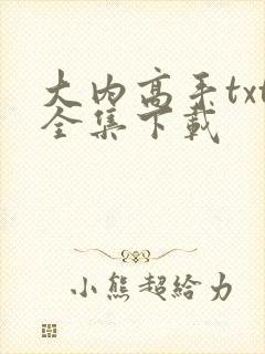 大内高手txt全集下载