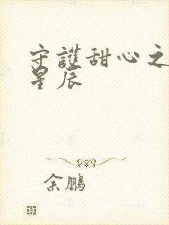 守护甜心之暗夜星辰