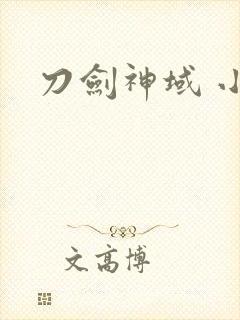 刀剑神域 小说