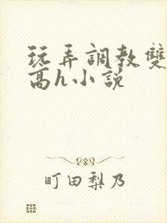 玩弄调教双胞胎高h小说