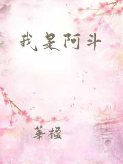 我是阿斗