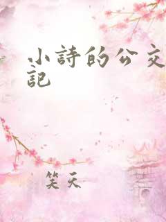 小诗的公交车日记