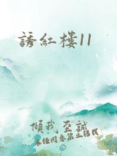 诱红楼11