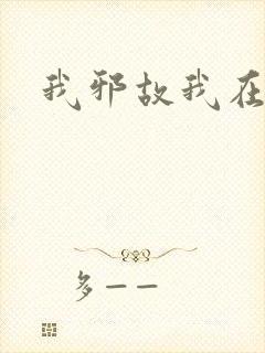 我邪故我在
