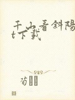 千山看斜阳txt下载