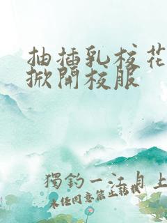 抽插乳校花老师掀开校服