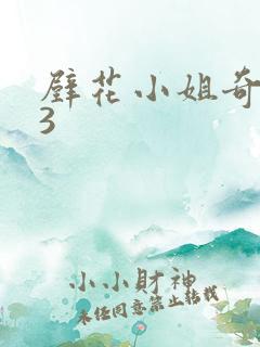 壁花小姐奇遇记3