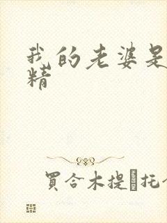 我的老婆是狐狸精