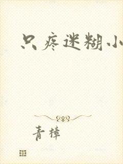 只疼迷糊小甜妻