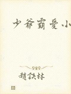 少爷霸爱小丫头