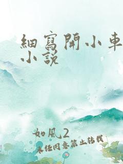 细写开小车车的小说