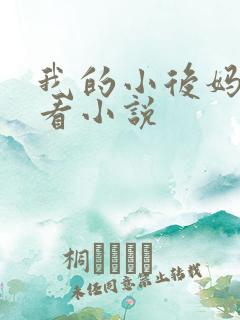 我的小后妈免费看小说