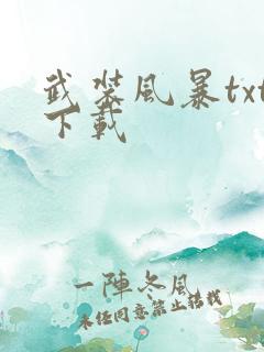 武装风暴txt下载