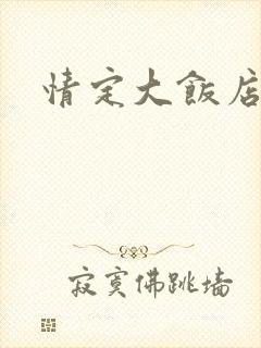 情定大饭店同人