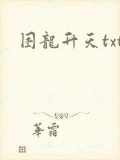 困龙升天txt