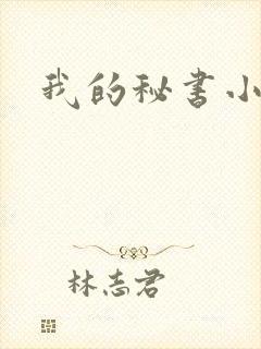 我的秘书小姐