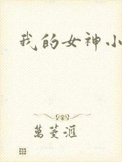 我的女神小说