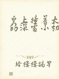 皇上撞着太子妃的深处小初