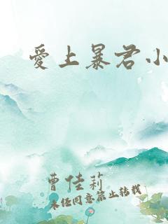 爱上暴君小甜心