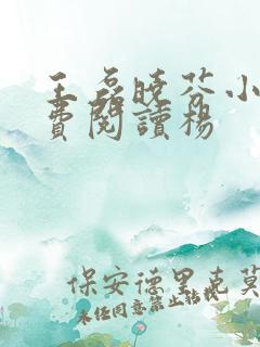 王磊晓芬小说免费阅读杨