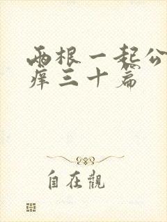 两根一起公憩止痒三十篇