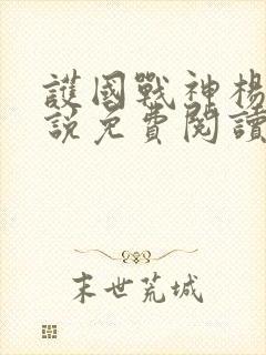 护国战神杨风小说免费阅读