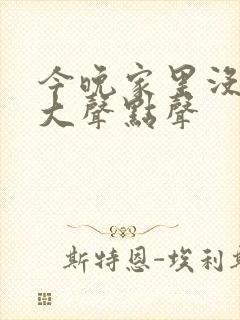 今晚家里没人叫大声点声