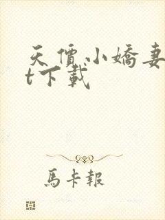 天价小娇妻txt下载