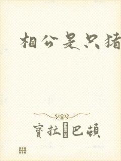 相公是只猪