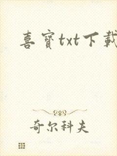 喜宝txt下载