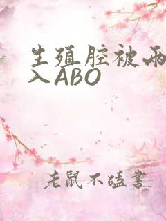 生殖腔被两根进入ABO