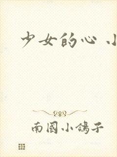 少女的心 小说
