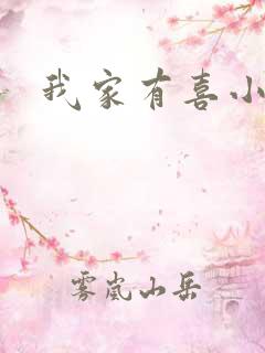 我家有喜小说