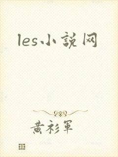 les小说网