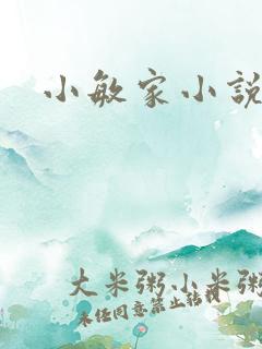 小敏家小说