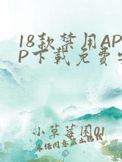 18款禁用APP下载免费安卓