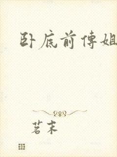 卧底前传姐妹篇