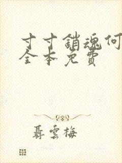 寸寸销魂何生祥全本免费