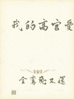 我的高官爱人