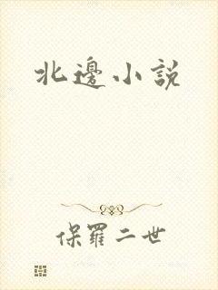 北边小说