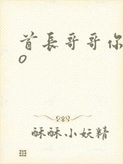 首长哥哥你好po