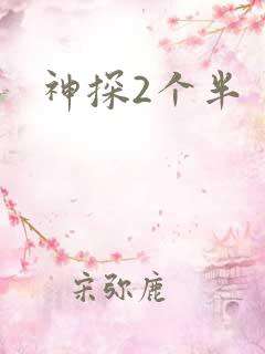 神探2个半