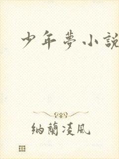 少年梦小说